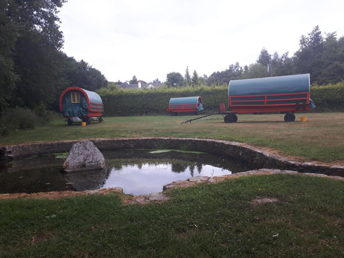 Birchdale Cottage Rathdrum Εξωτερικό φωτογραφία